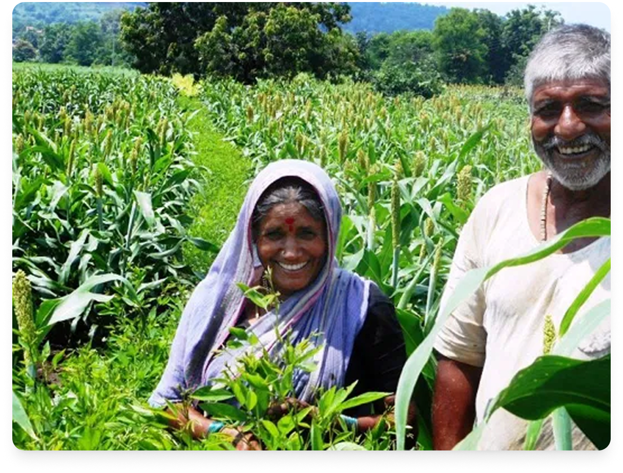 Forest communities collecting produce